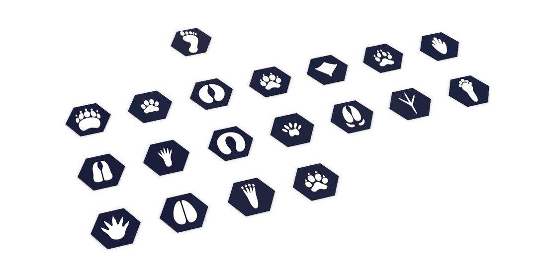 A children’s footprint trail
